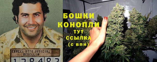 стафф Приозерск