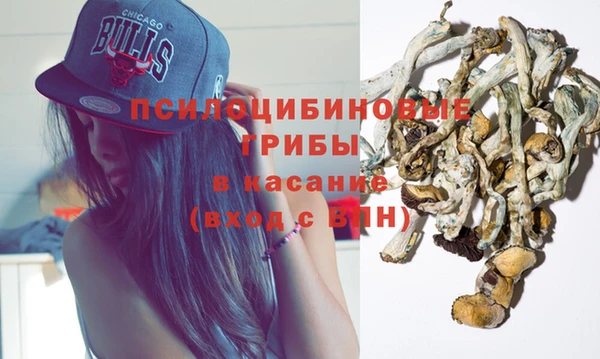 гашик Протвино